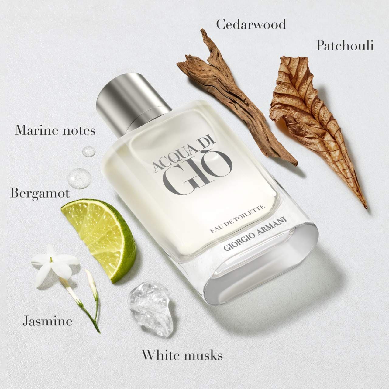 Aqua Di Gio EDT 4.2 oz